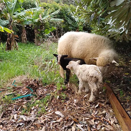 Salga Angra do Heroísmo