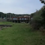 Salga
