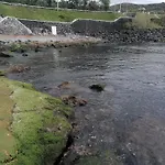 Salga